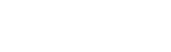 logo light